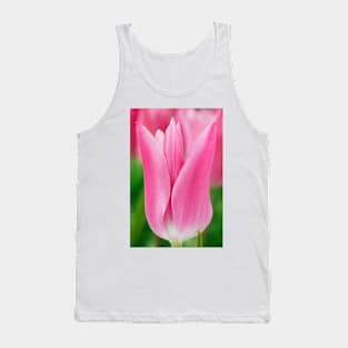 Tulipa  &#39;China Pink&#39;  AGM   Lily-flowered Group  Tulip Tank Top